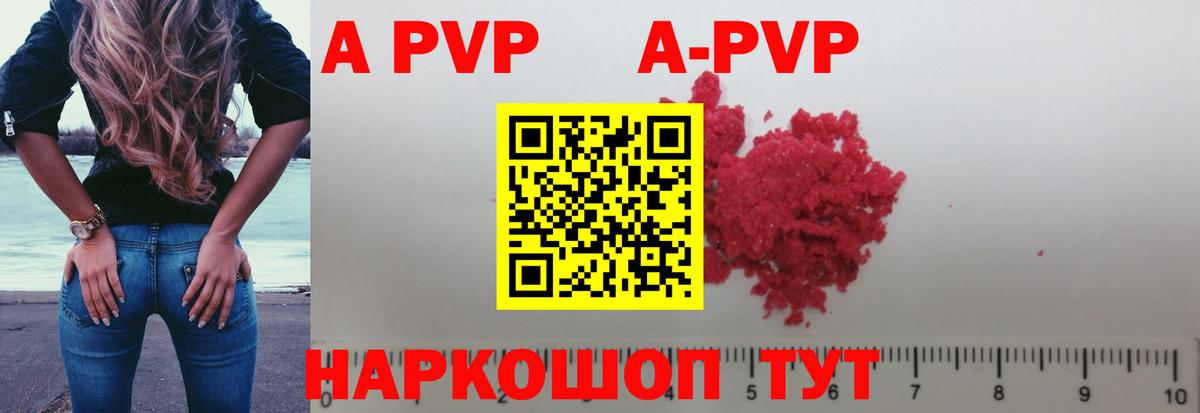 A-PVP СК КРИС Людиново