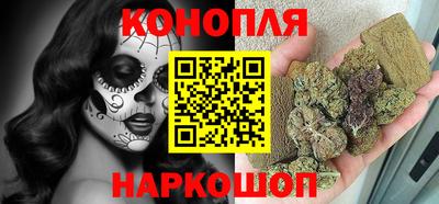 индика Ирбит