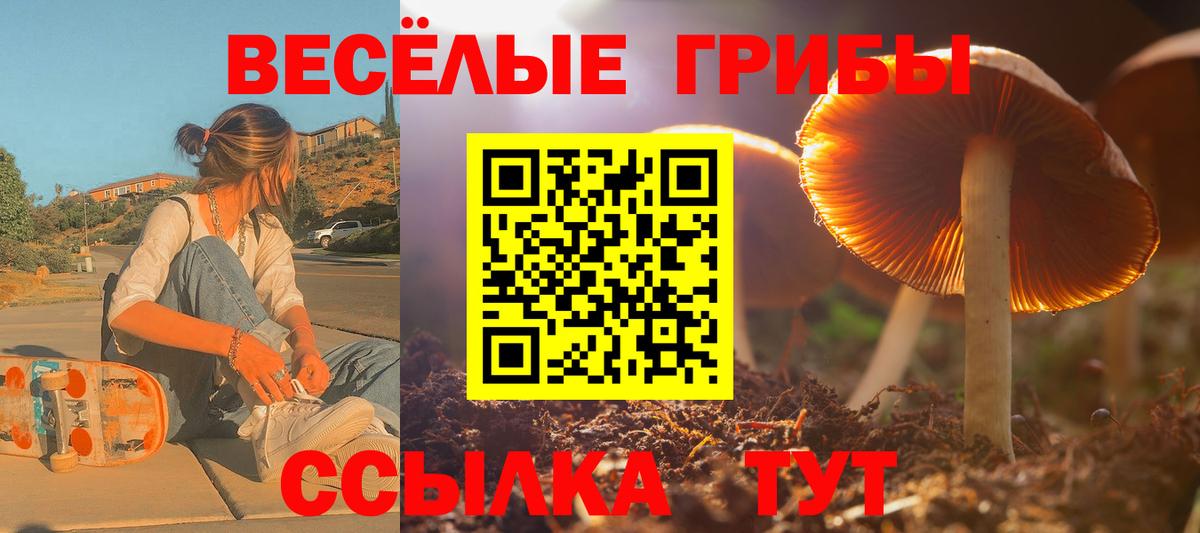 Галлюциногенные грибы ЛСД Людиново
